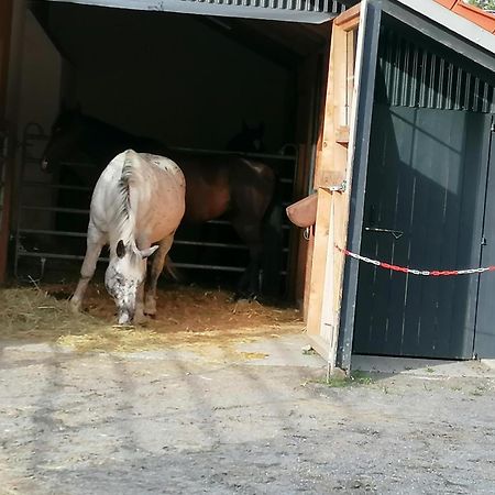 Вилла Wild Life Ranch Schofweg Экстерьер фото