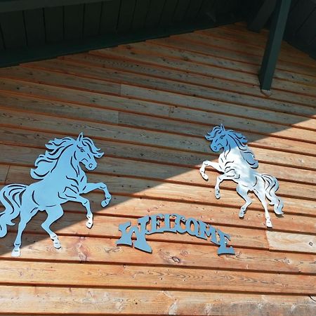 Вилла Wild Life Ranch Schofweg Экстерьер фото