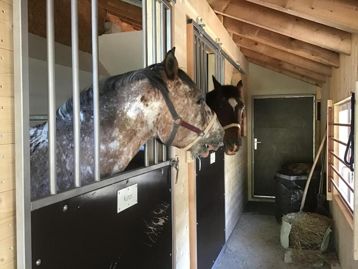 Вилла Wild Life Ranch Schofweg Экстерьер фото