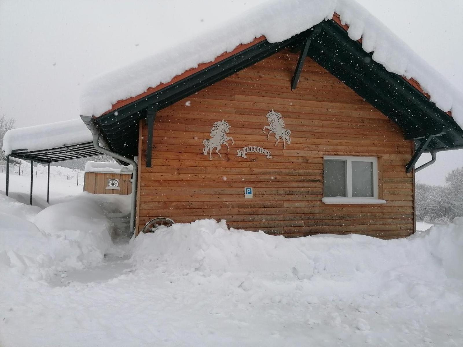 Вилла Wild Life Ranch Schofweg Экстерьер фото