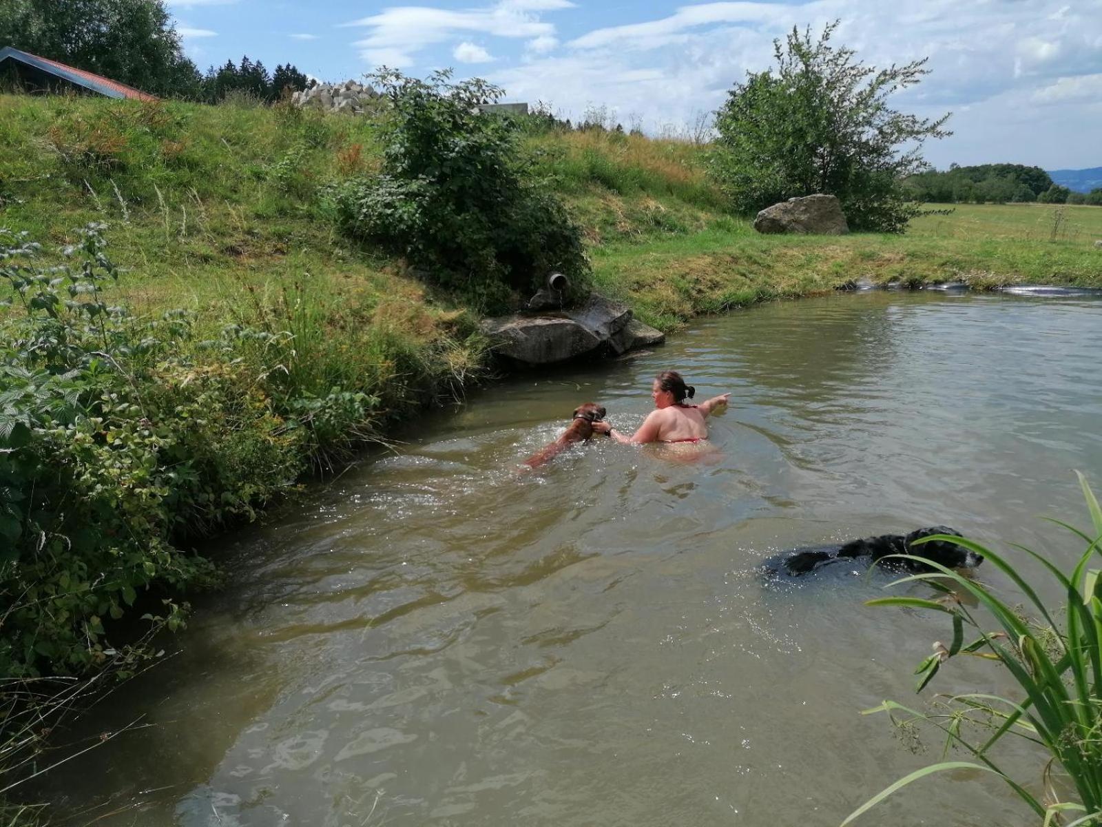 Вилла Wild Life Ranch Schofweg Экстерьер фото