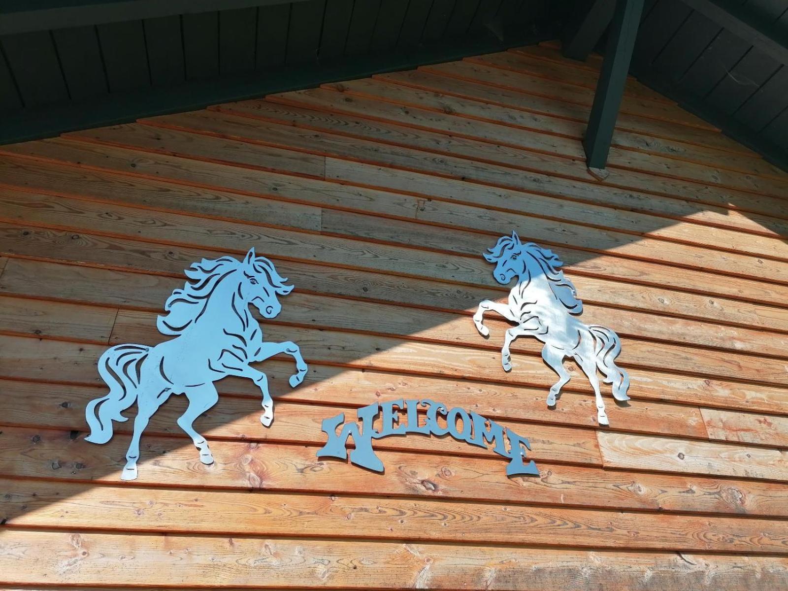 Вилла Wild Life Ranch Schofweg Экстерьер фото