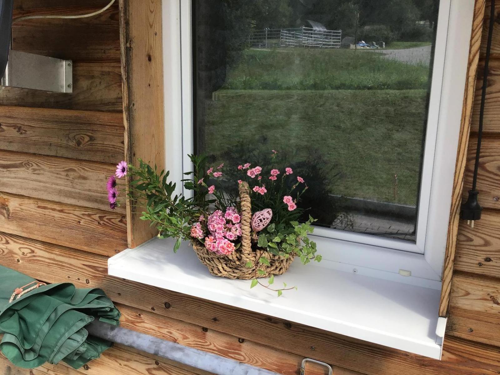 Вилла Wild Life Ranch Schofweg Экстерьер фото
